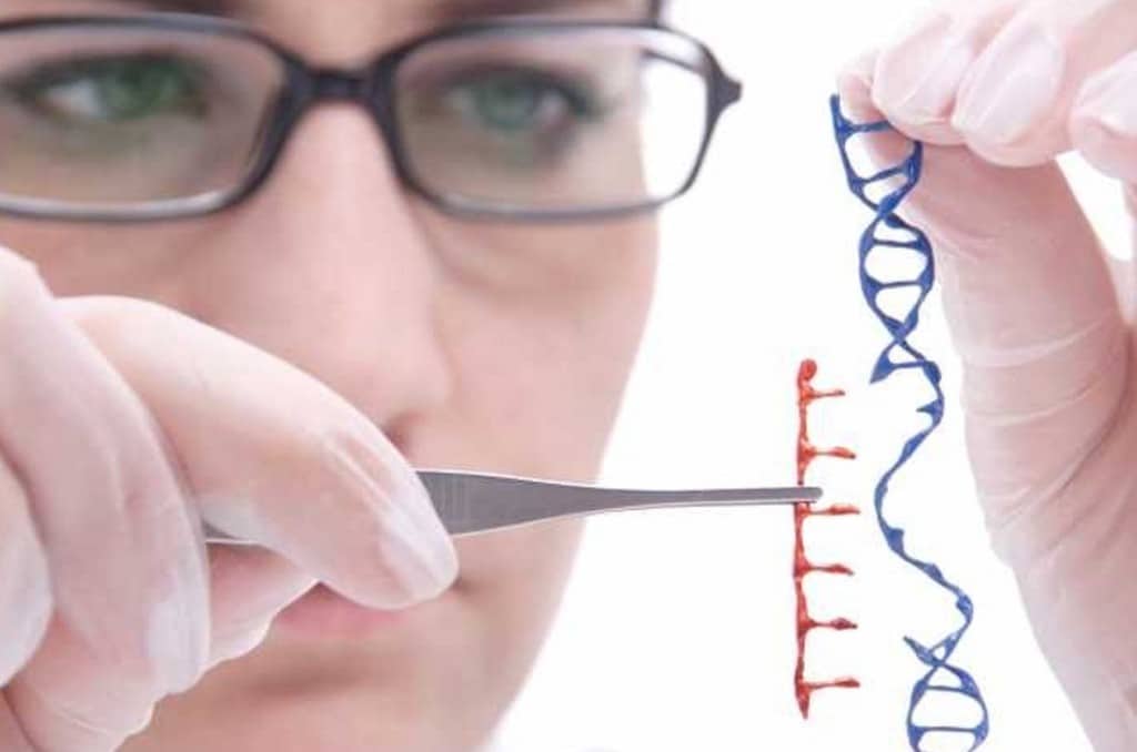 Edición genética. Científicos chinos anuncian haber utilizado CRISPR/Cas9 para introducir modificacion genética que confiere resistencia al virus del SIDA